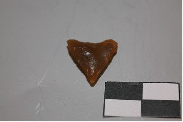 Foto van Spits