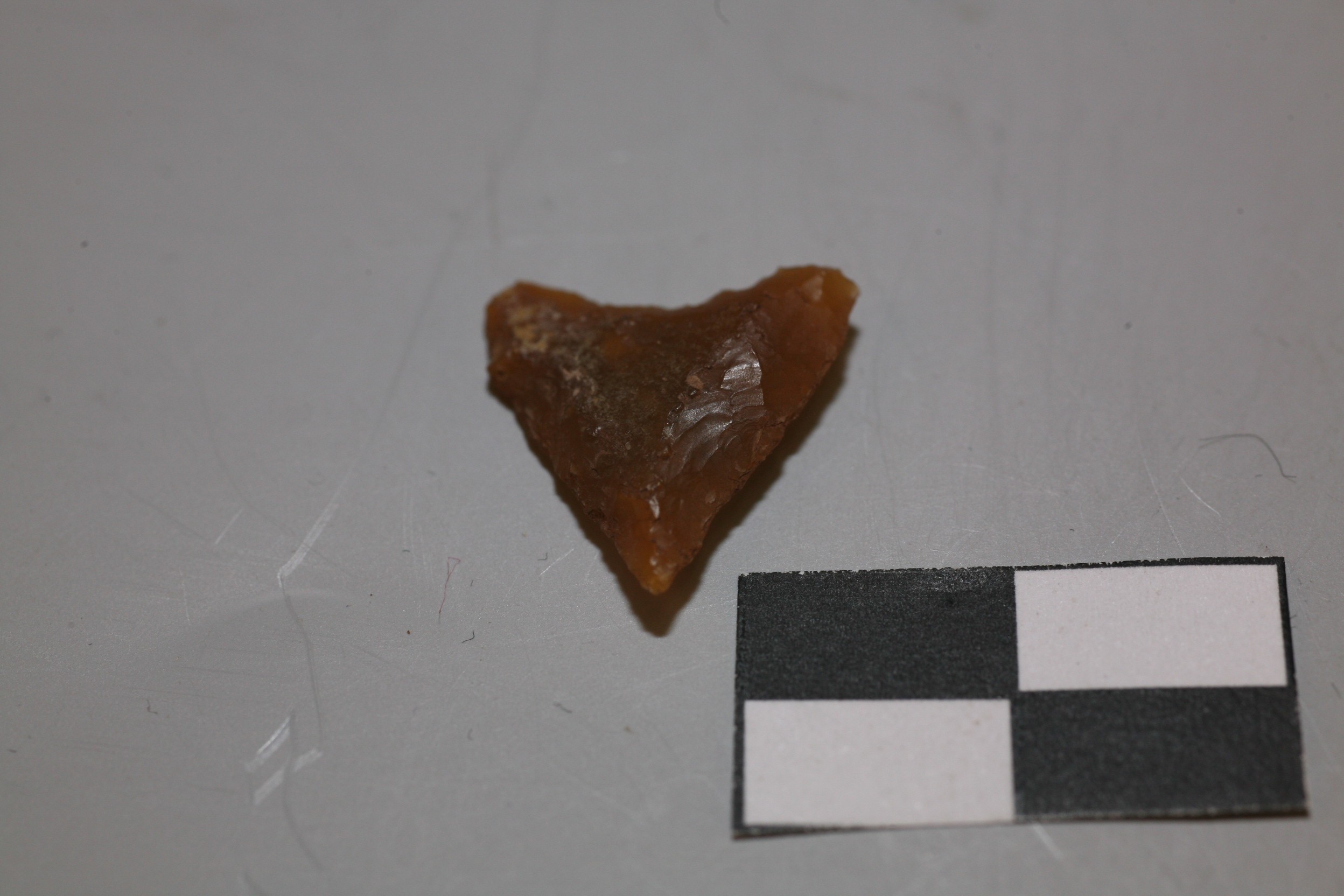 Nog een foto van  Spits