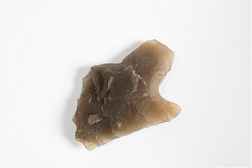 Foto van schachtdoorn en weerhaken