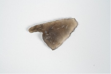 Foto van schachtdoorn en weerhaken