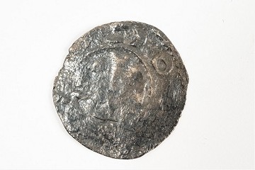 Foto van penning/penny